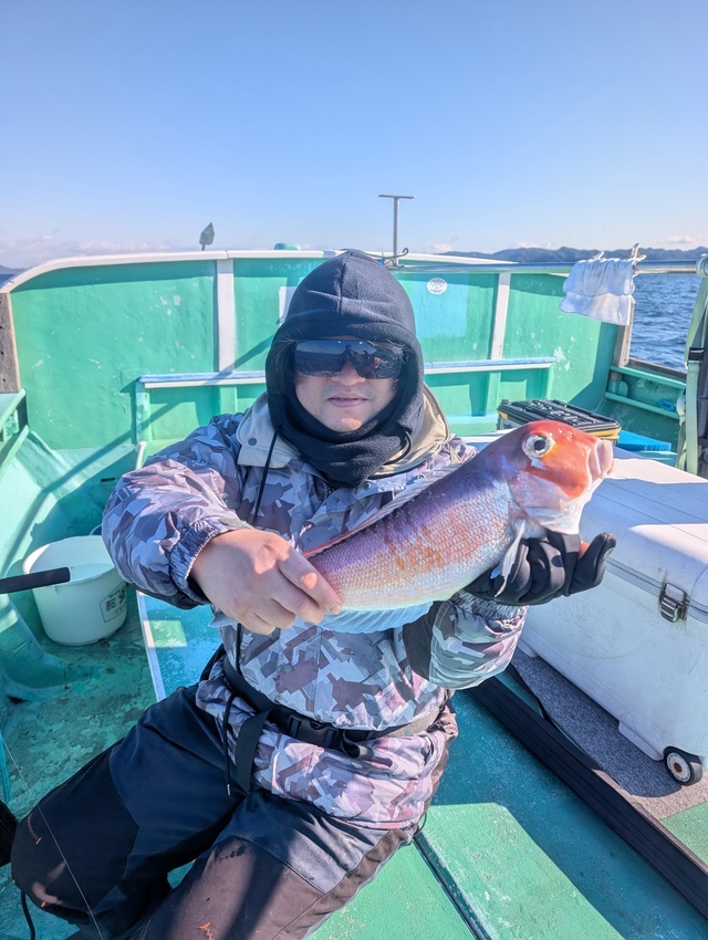 アマダイ(アカアマダイ)