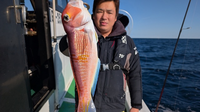 アマダイ(アカアマダイ)