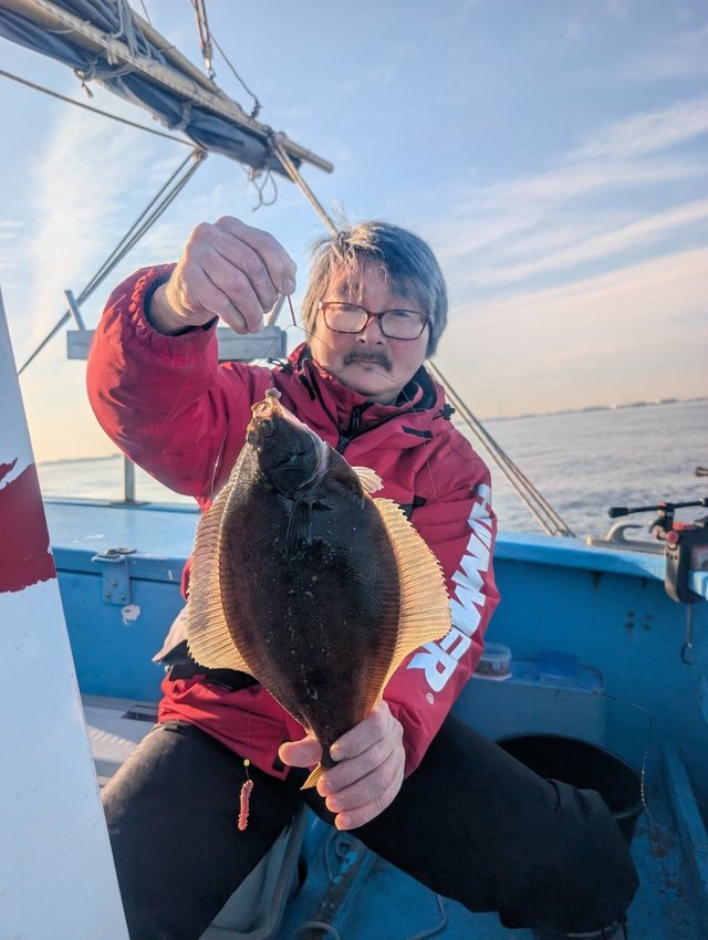 カレイ(マコガレイ)