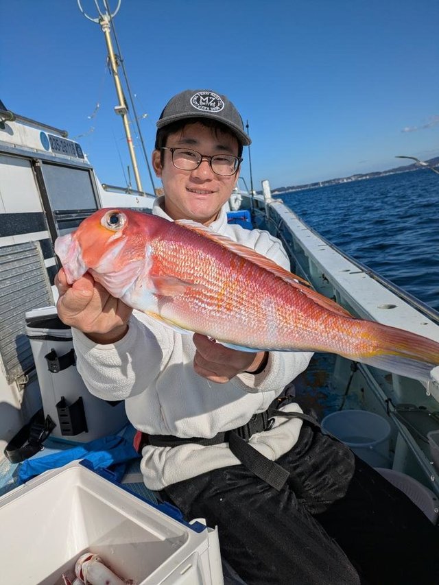 アマダイ(アカアマダイ)