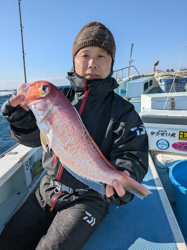 アマダイ(アカアマダイ)