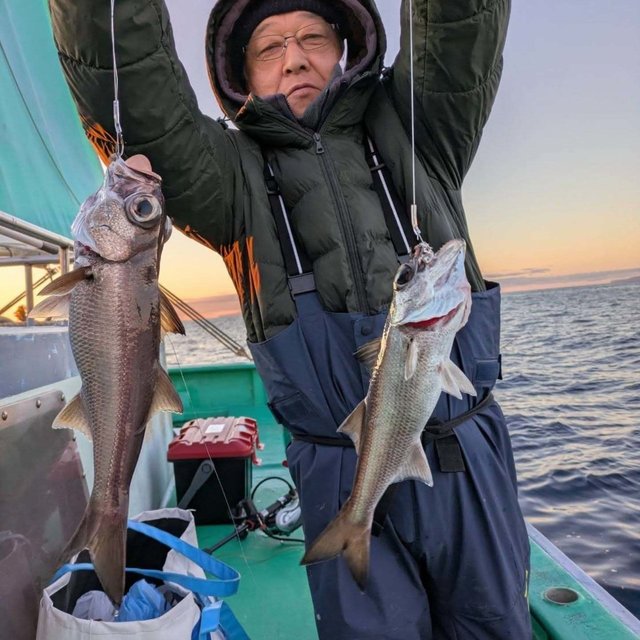 シロムツ(オオメハタ)