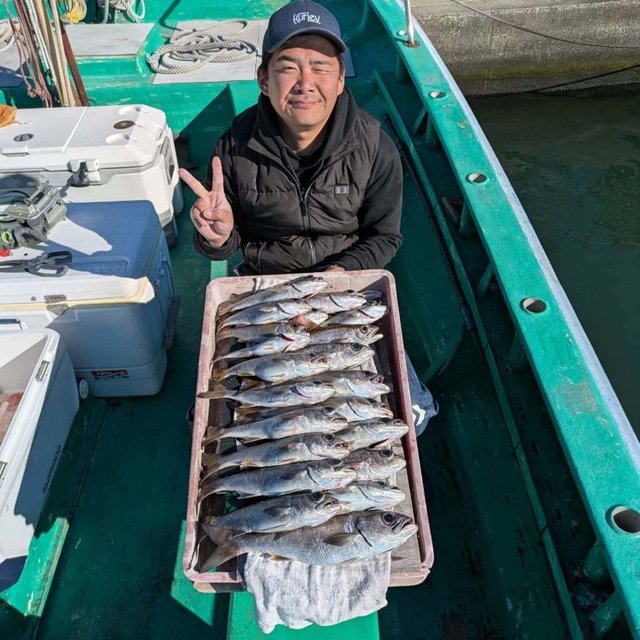 メダイ・シロムツ(オオメハタ)