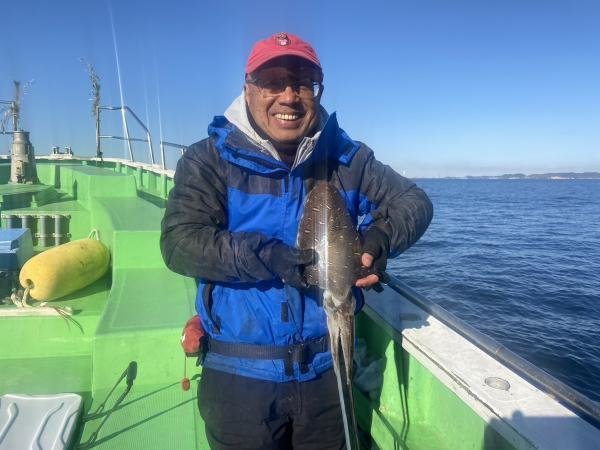 モンゴウ(カミナリイカ)