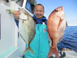 マダイ・カイワリ