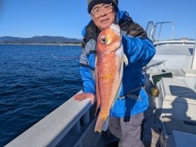 アマダイ(アカアマダイ)