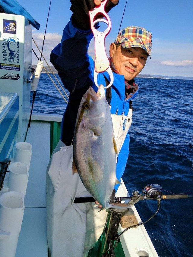 ショゴ(カンパチ)