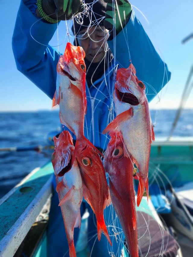 キンメ(キンメダイ)