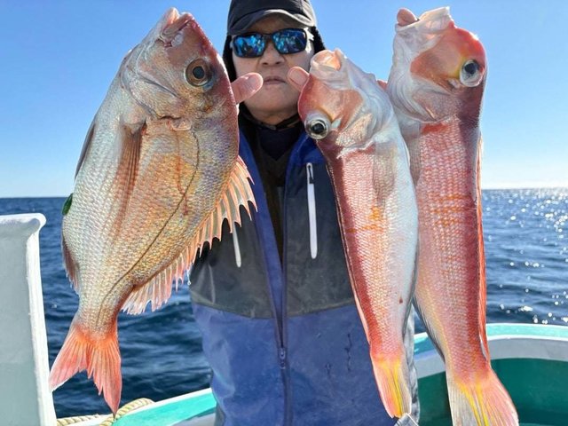 マダイ・アマダイ(アカアマダイ)