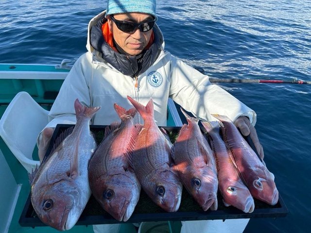 マダイ・アマダイ(アカアマダイ)