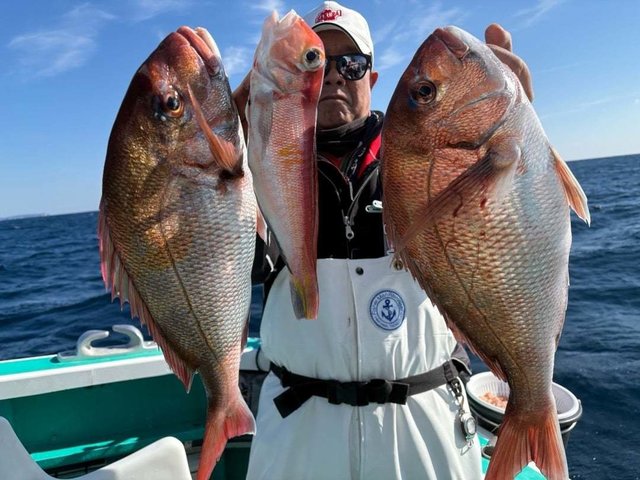 マダイ・アマダイ(アカアマダイ)