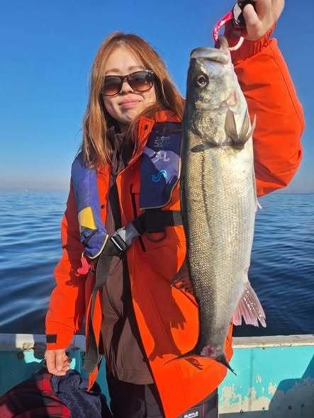 シーバス(スズキ)