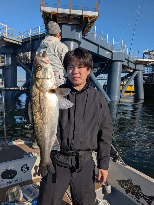 シーバス(スズキ)