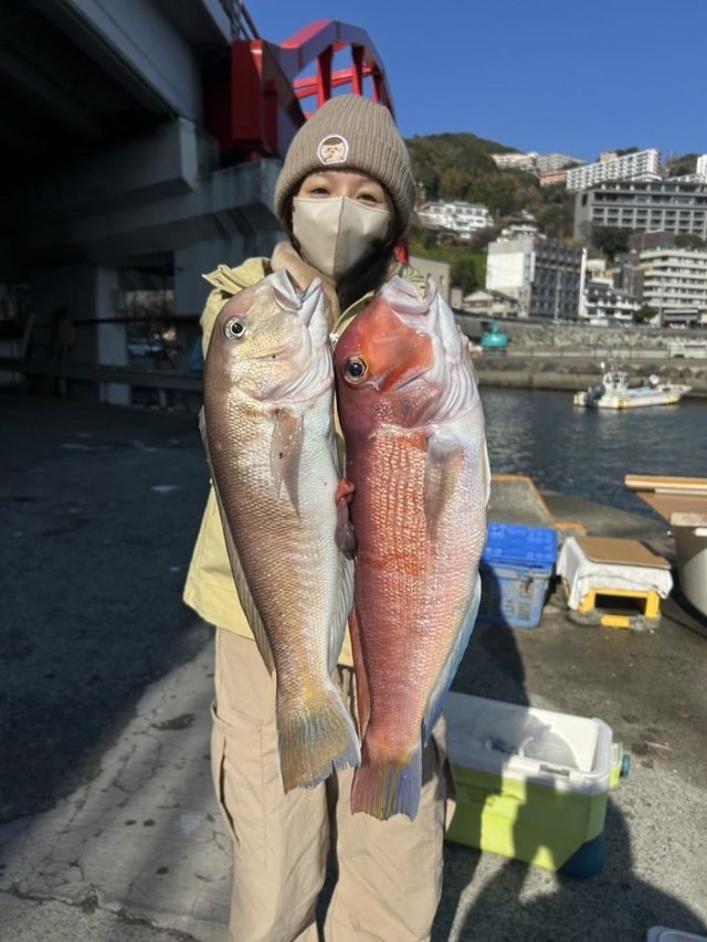 アカアマダイ・シロアマダイ