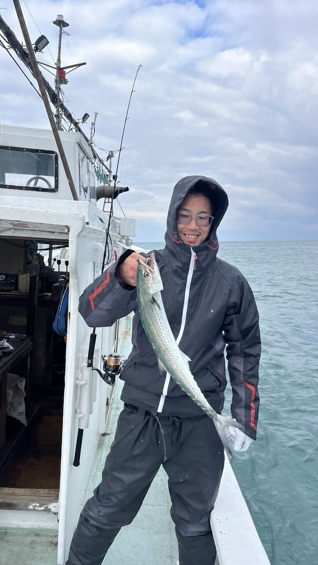 サゴシ(サワラ)