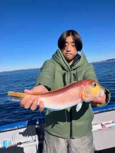 アマダイ(アカアマダイ)