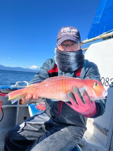 アマダイ(アカアマダイ)