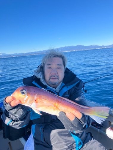 アマダイ(アカアマダイ)