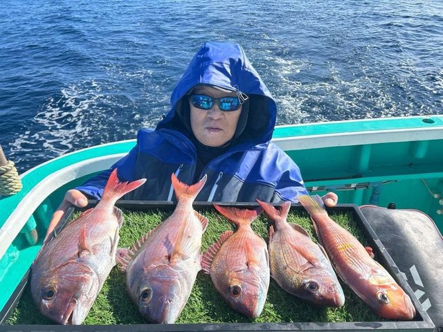 マダイ・アマダイ(アカアマダイ)