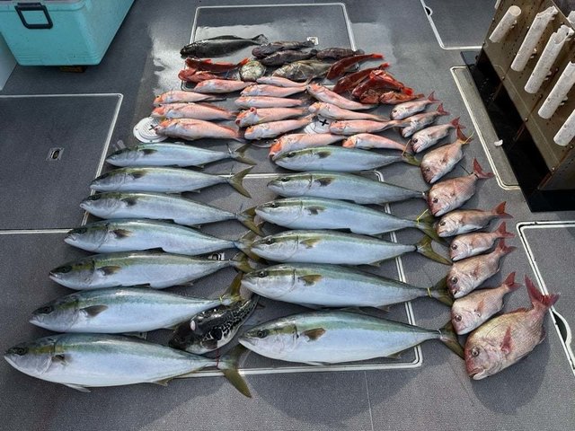 マダイ・マハタ・ハマチ(ブリ)・アマダイ(アカアマダイ)・ホウボウ