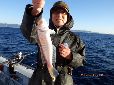 アマダイ(アカアマダイ)