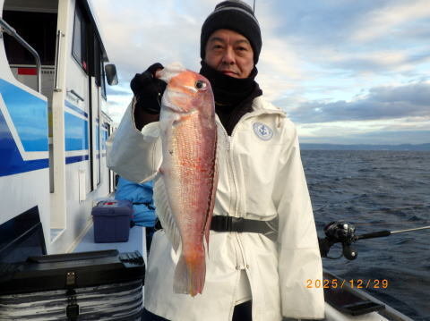 アマダイ(アカアマダイ)