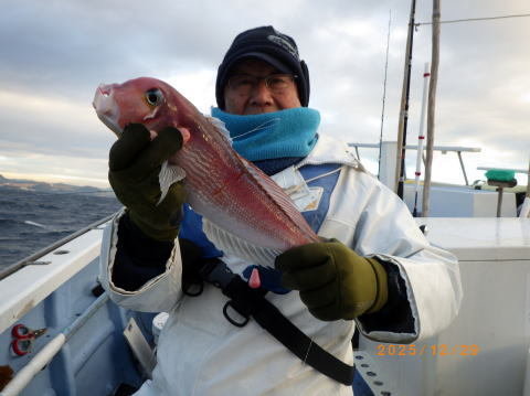 アマダイ(アカアマダイ)