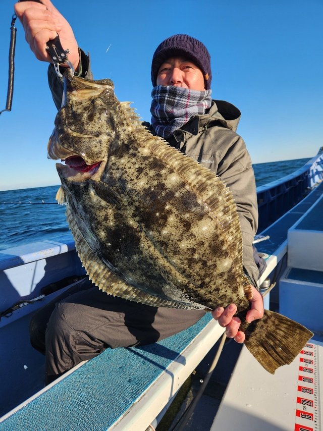 茨城県で釣れたスズキの最新釣果、釣り情報【2026年1月】