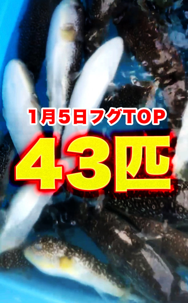 ショウサイフグ