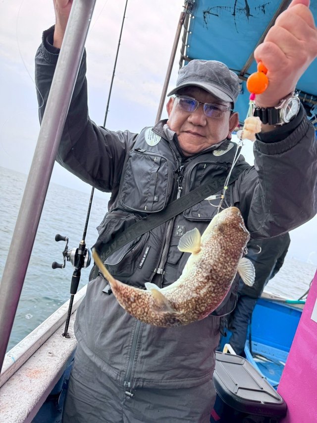 ショウサイフグ