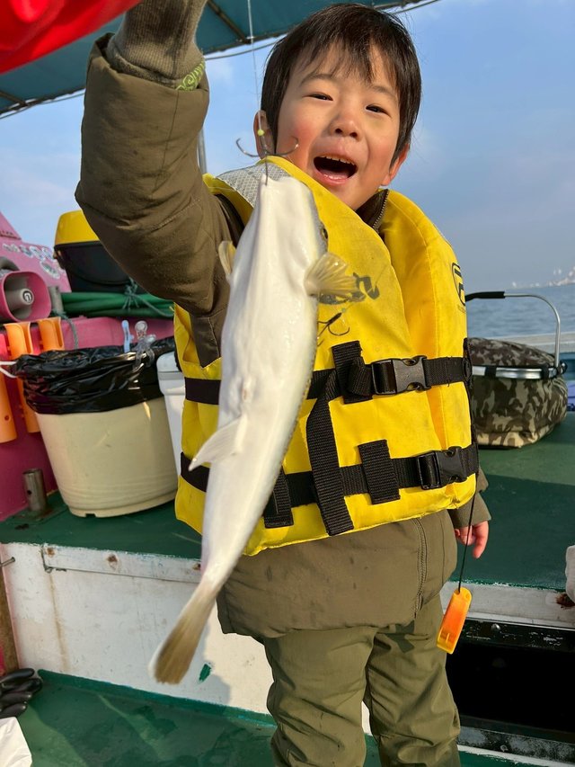 ショウサイフグ