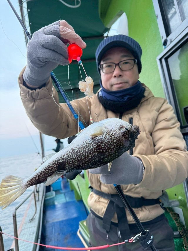 ショウサイフグ