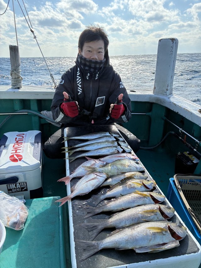 マアジ・メイチダイ