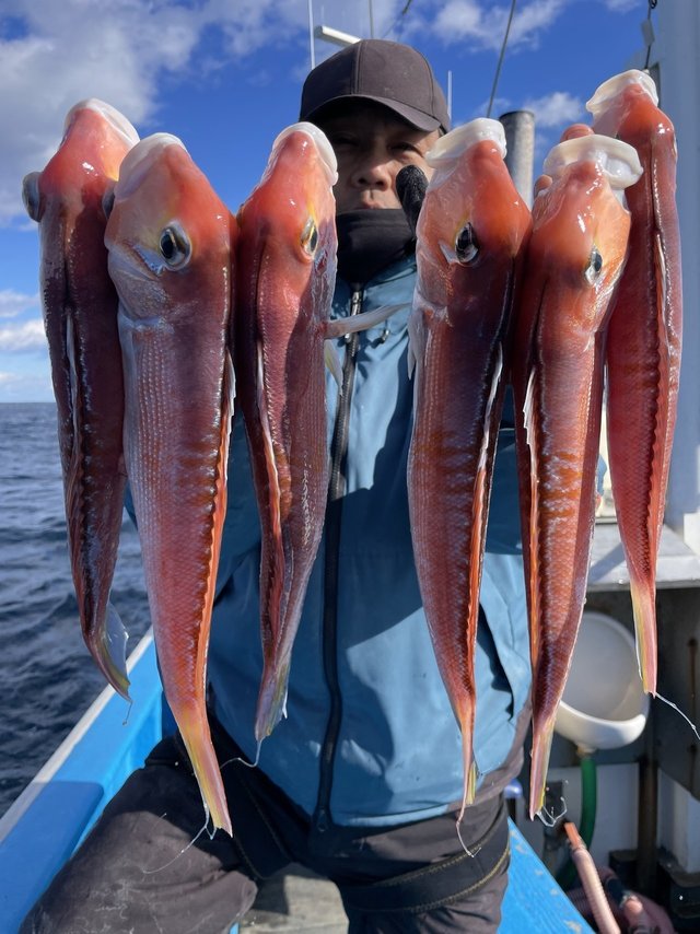 アマダイ(アカアマダイ)