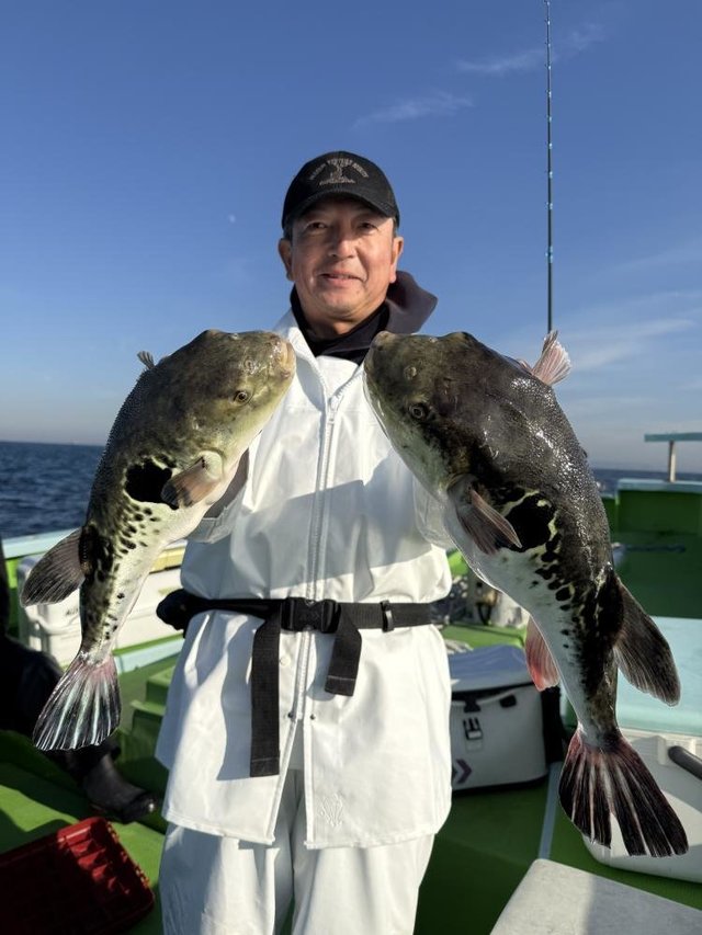 フグ(トラフグ)