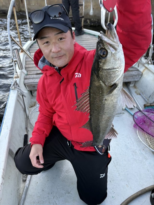 シーバス(スズキ)