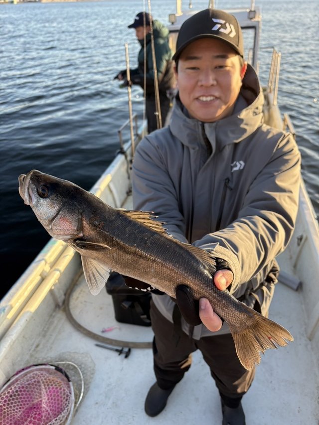 シーバス(スズキ)