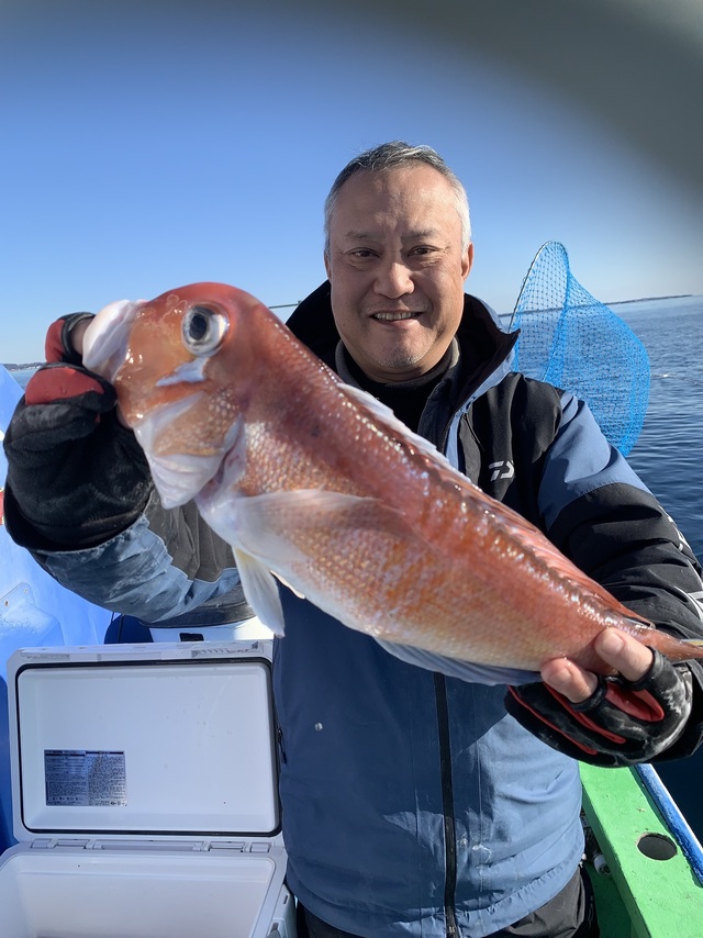 アマダイ(アカアマダイ)