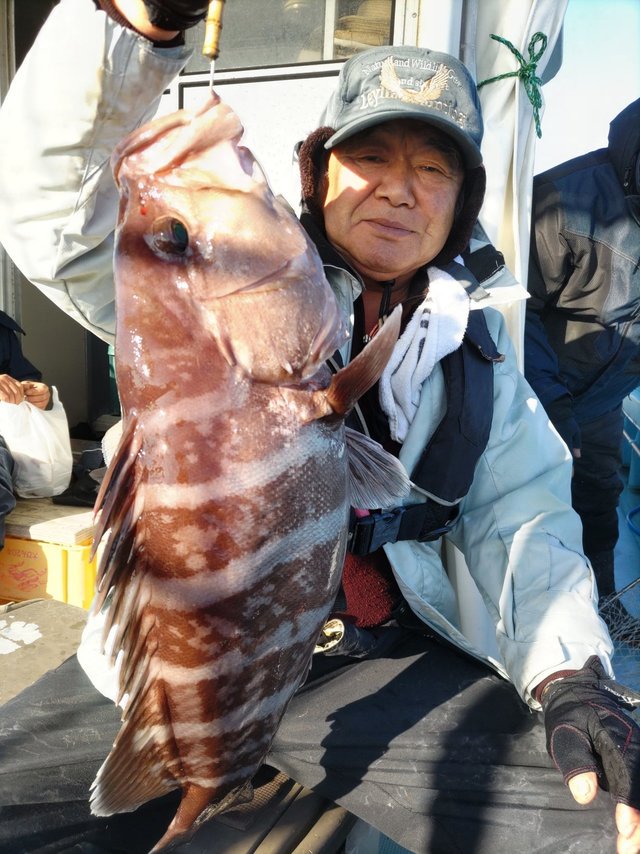 アオナ(アオハタ)