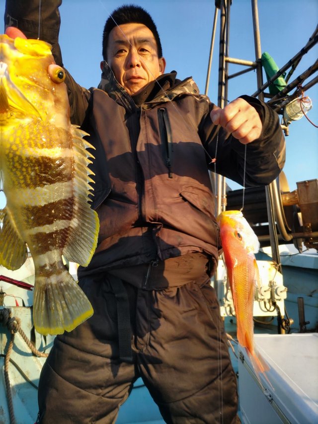 アオナ(アオハタ)・カサゴ