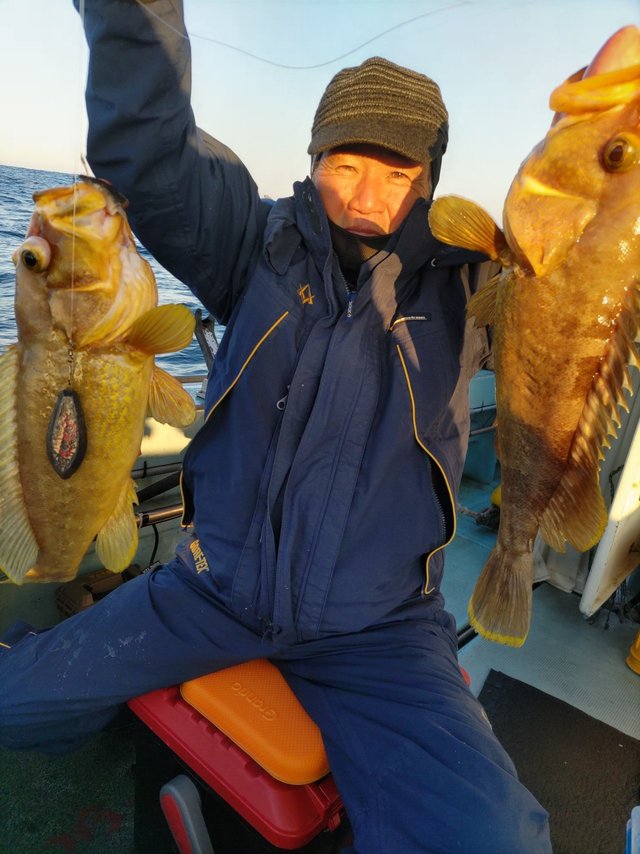 アオナ(アオハタ)