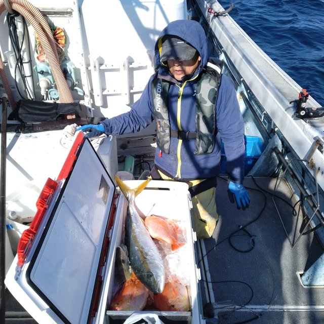 ヒラマサ・イサキ