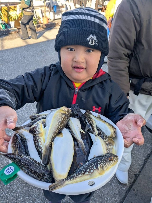 アカメフグ・ショウサイフグ