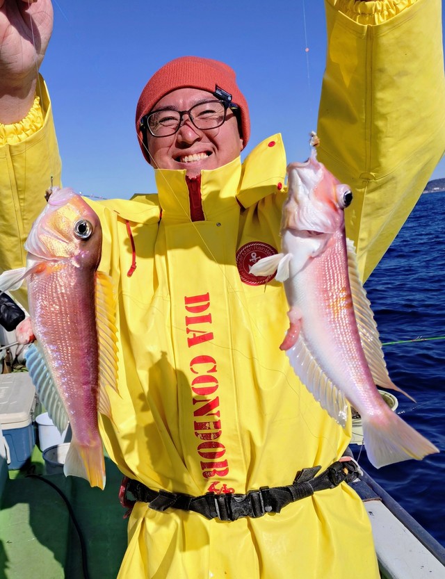 アマダイ(アカアマダイ)