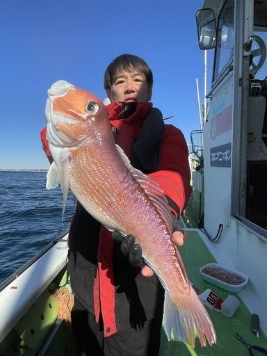 アマダイ(アカアマダイ)