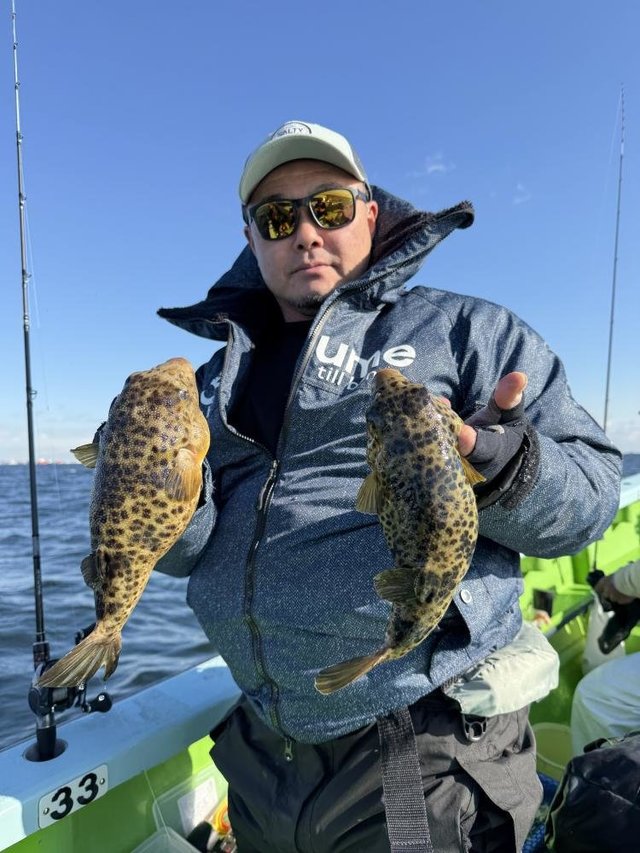 フグ(アカメフグ)