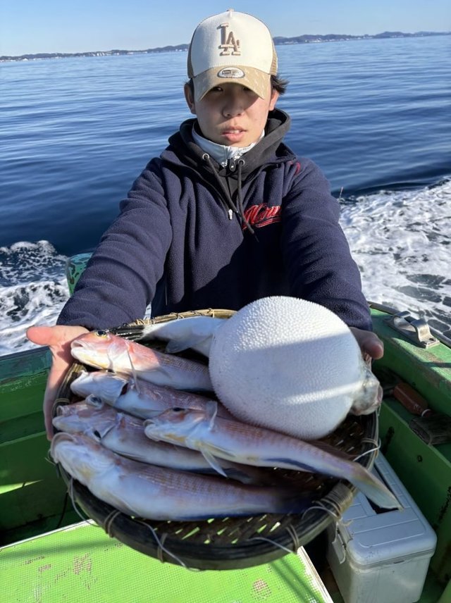 アマダイ(アカアマダイ)