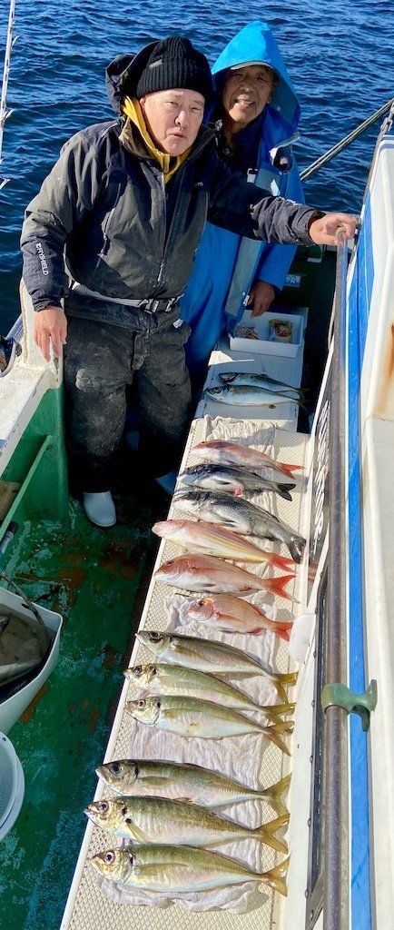 マダイ・クロダイ・アジ(マアジ)・イトヨリ(イトヨリダイ)