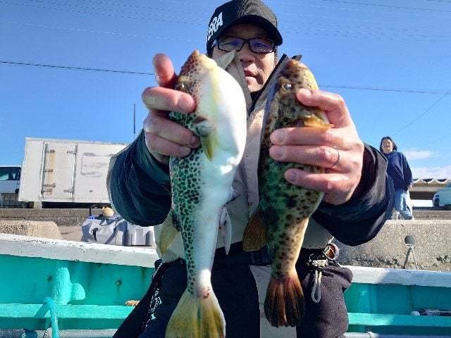 ヒガンフグ・ショウサイフグ