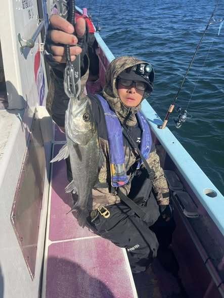 シーバス(スズキ)